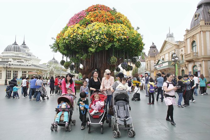 Everland Amusement Park with free-ride Ticket - Hotel pickup from Seoul and drop off at Myeongdong: the logistics that save your day