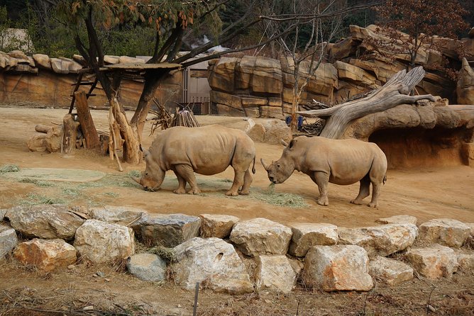 EVERLAND "From Hotel to Hotel" [Premium Private Tour: Only One Group for You] - Zootopia animal time without rushing