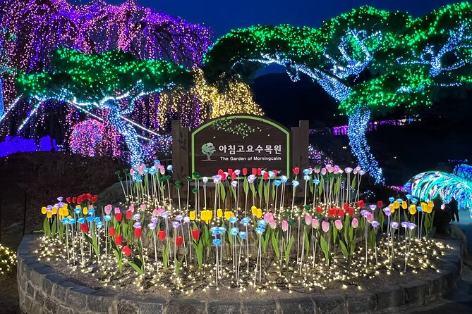 Four Seasons of Nami Island with Garden of Morning Calm Tour - The 7:30 am Start: Why Timing Matters in Seoul
