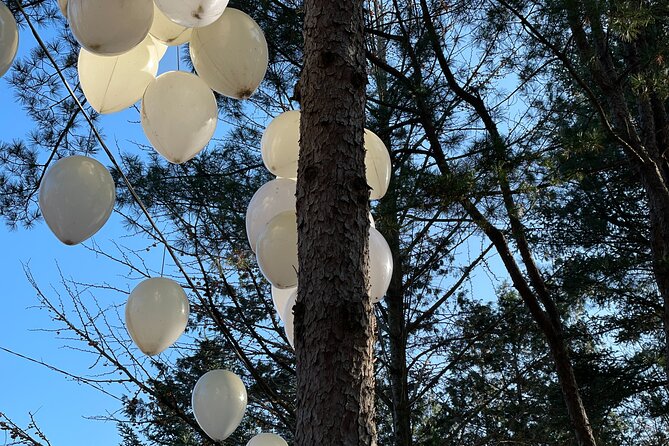 Four Seasons of Nami Island with Garden of Morning Calm Tour - Dak Galbi on Nami Island: Lunch That Feels Like Korea, Not a Pit Stop