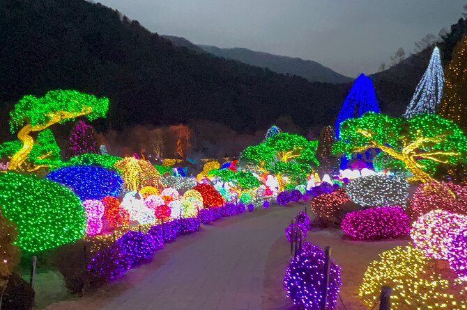 Four Seasons of Nami Island with Garden of Morning Calm Tour - Petit France and the Ginseng Shopping Detour