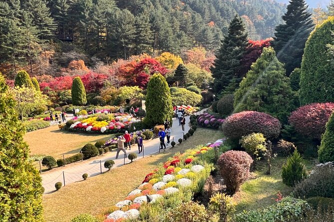 Four Seasons of Nami Island with Garden of Morning Calm Tour - How the Guide Makes This Tour Feel Easier