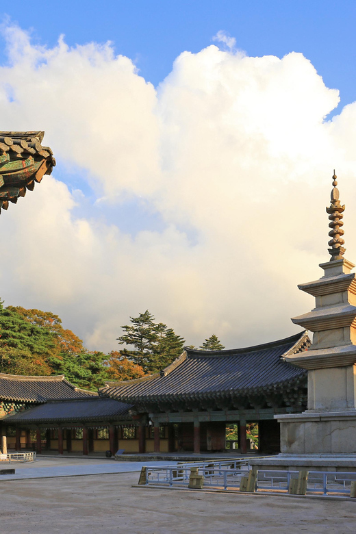 From Busan: Echoes of Silla Gyeongju Historical Day Tour - Quick hits you should care about
