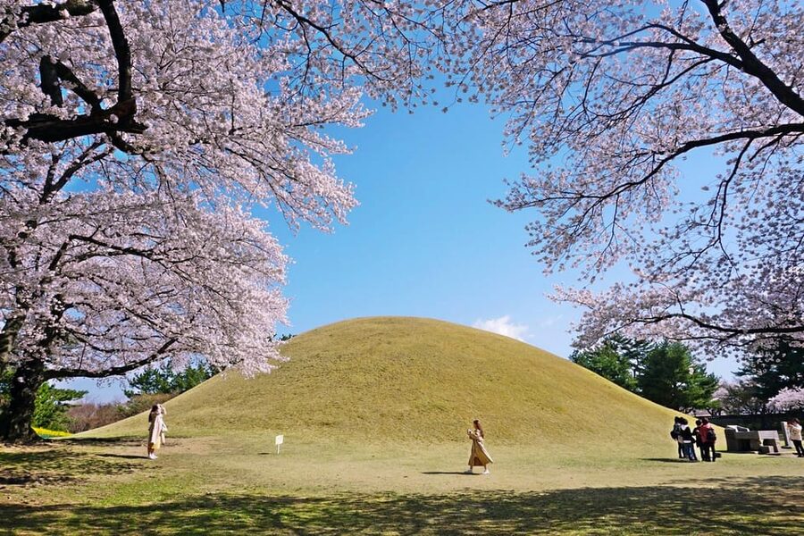 From Busan: Echoes of Silla Gyeongju Historical Day Tour - Daereungwon tombs and Hwangnidan-gil: big monuments, small street charm