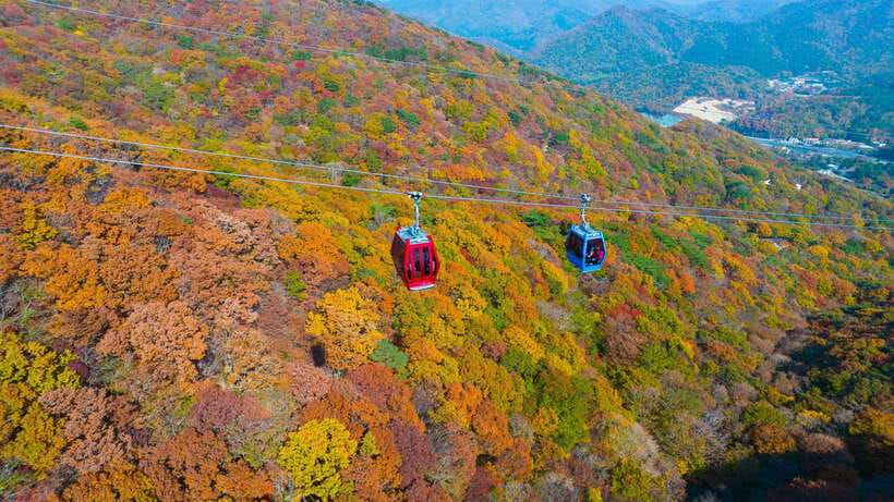 From Busan: Enchanting Oedo Island Day Tour with Windy Hill - Key highlights worth your attention