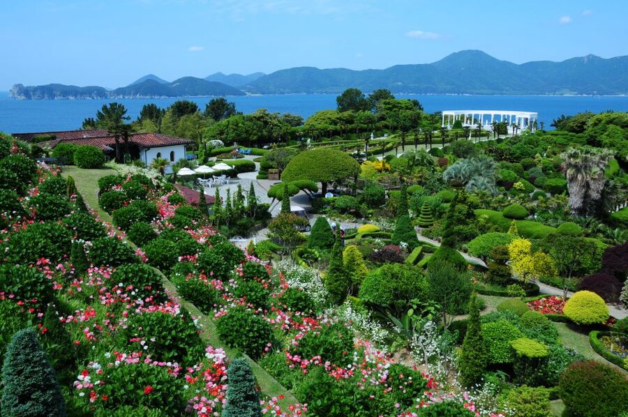From Busan: Enchanting Oedo Island Day Tour with Windy Hill - Who this tour fits best, and who might want a different plan