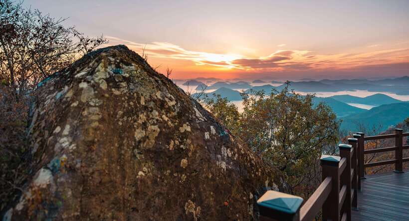 From Busan: Enchanting Oedo Island Day Tour with Windy Hill - Lunch on your own: budgeting without ruining the vibe