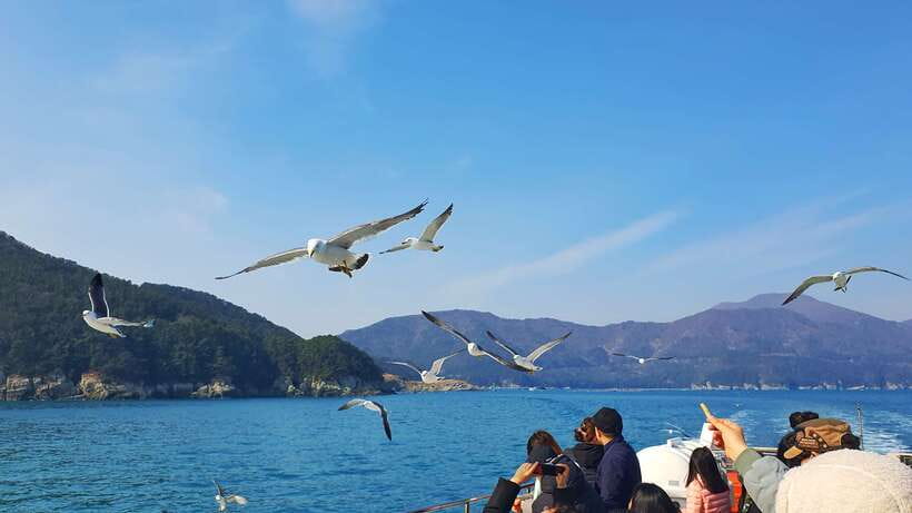 From Busan: Enchanting Oedo Island Day Tour with Windy Hill - Price and value: is $91 worth it for this mix of ferry and viewpoints?