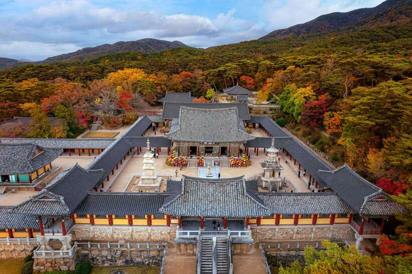From Busan: Gyeongju Full-Day Historical Tour - Key points before you go