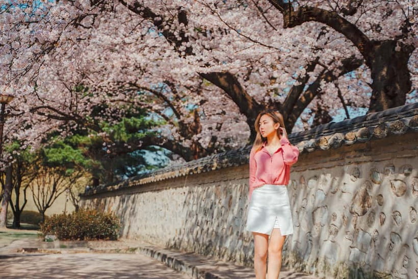 From Busan: Gyeongju Small Group Photo Tour & Hotel Pick-up - Gyechon Traditional Village: The “Take Your Time” Moment