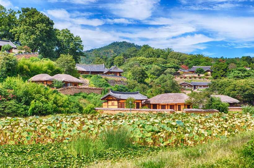 From Busan: Gyeongju UNESCO World Heritage Guided Day Tour - Package C Ends at Gyeongju National Museum