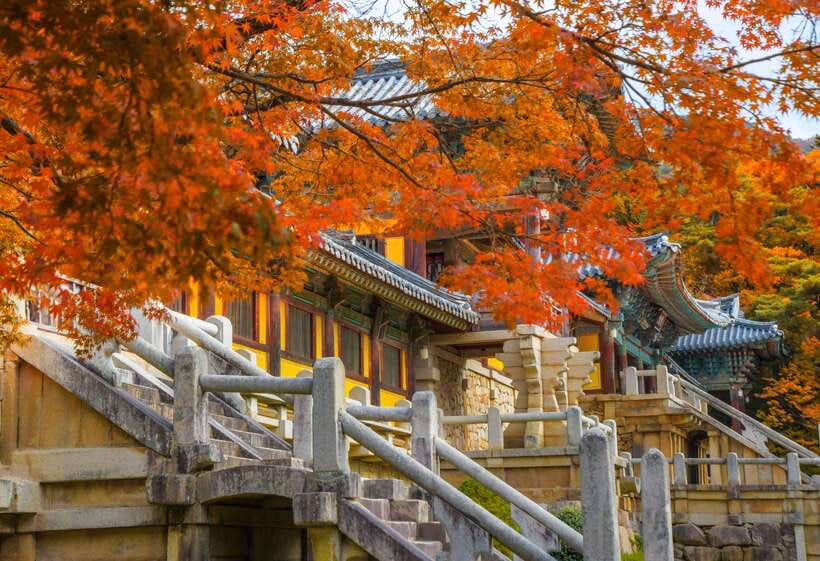 From Busan: Gyeongju UNESCO World Heritage Guided Day Tour - Why Gyeongju Feels Bigger Than a Day Trip
