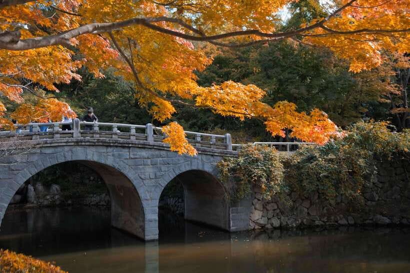 From Busan: Gyeongju UNESCO World Heritage Guided Day Tour - Bulguksa Temple: The Day’s Architectural Payoff