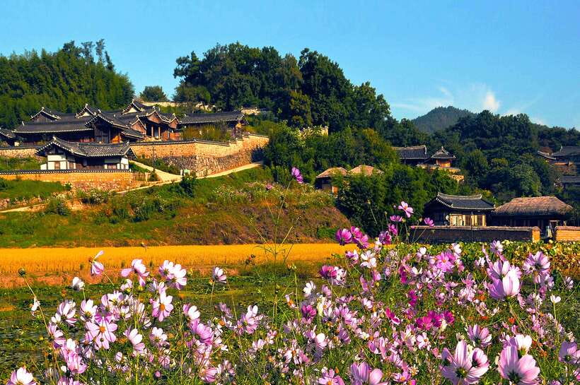 From Busan: Gyeongju UNESCO World Heritage Guided Day Tour - Woljeong Bridge at Illumination Time