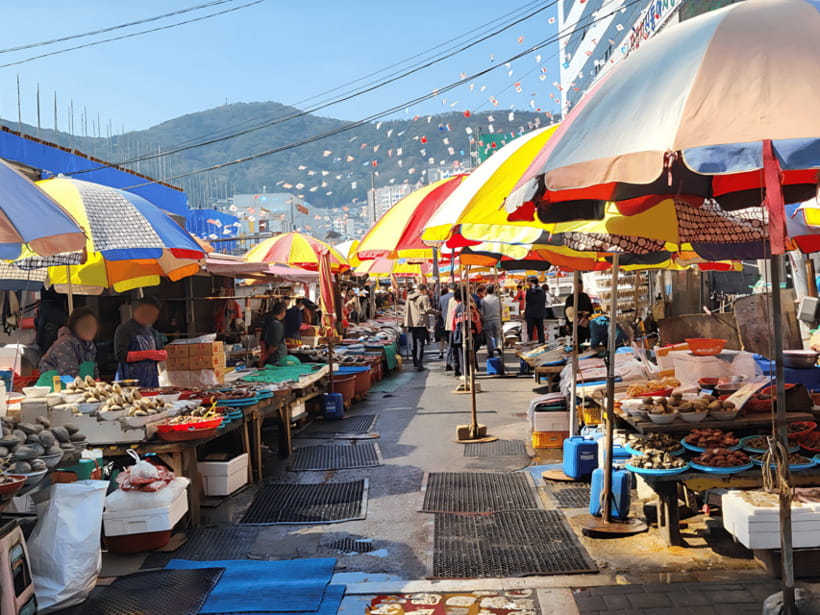 From Busan Port: Sightseeing Tour for Cruise Passengers - Port pickup, drop-off, and the real meaning of cruise timing