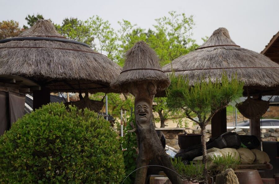 From Seoul: 5-Day Tour of Korea with UNESCO Sites - Practical tips that make the difference on tour days