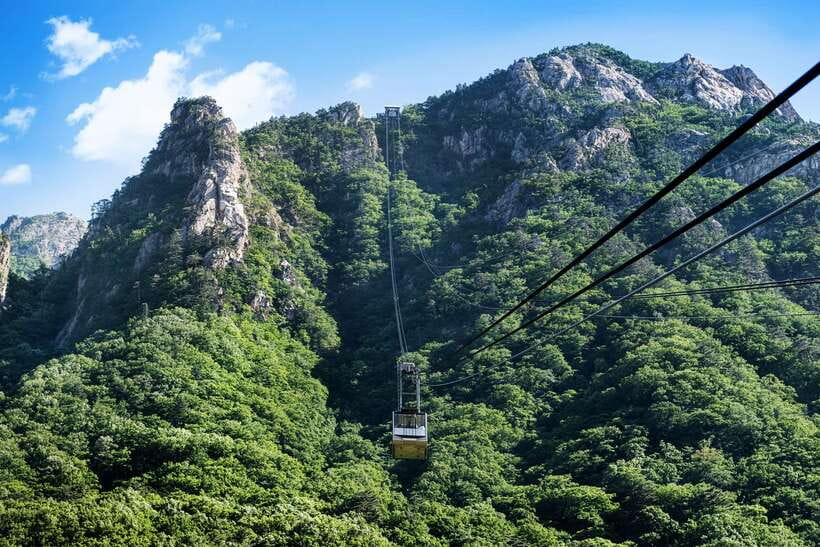 From Seoul: 5-Day Tour of Korea with UNESCO Sites - Hotels, breakfasts, and how the guide support really shows up