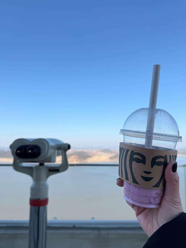 From Seoul: Aegibong Starbucks Observatory & DMZ View - DMZ-view Starbucks: what makes Aegibong Peace Park different