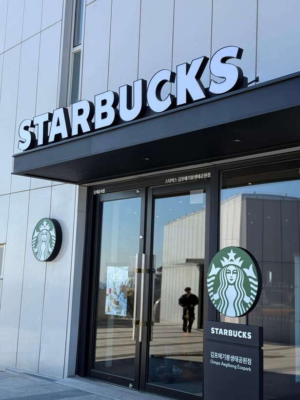 From Seoul: Aegibong Starbucks Observatory & DMZ View - Getting there from Seoul: pickup options and a smooth day plan