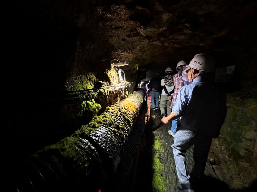 From Seoul: Cheorwon DMZ and 2nd Tunnel Tour with Lunch - What to bring and what rules to respect
