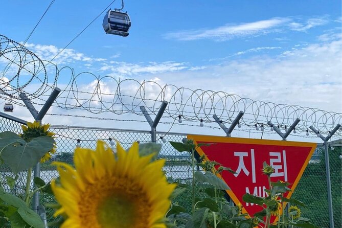 From Seoul: Cost-Benefit DMZ Shuttle Bus tour - Dora Observatory and The Peace Gondola: Views and Meaning Side by Side