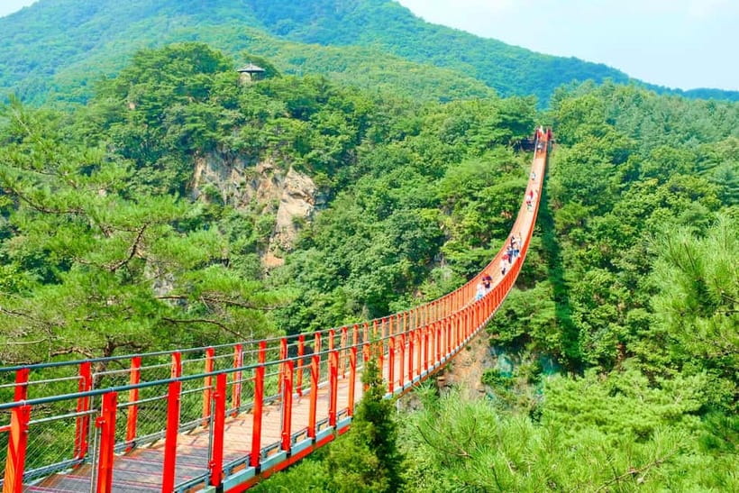 From Seoul: DMZ The 3rd Tunnel and Suspension Bridge Tour - Morning Logistics From Seoul, and What to Bring