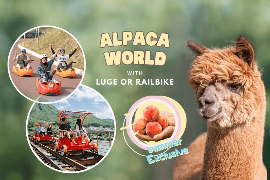 From Seoul: Full Day Trip to Alpaca Farm with Rail Bike - Should you book the Seoul alpaca farm and rail bike day trip?