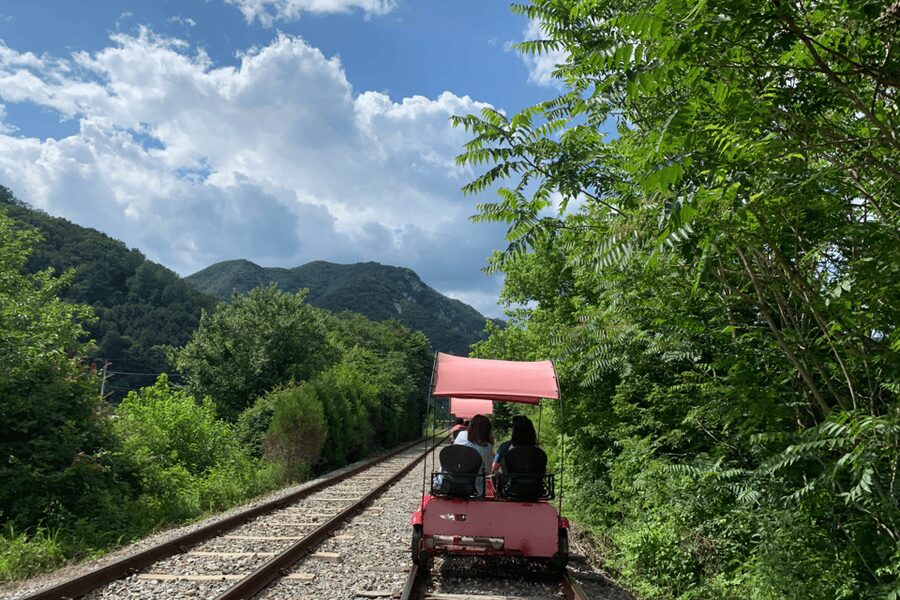 From Seoul: Full Day Trip to Alpaca Farm with Rail Bike - Seoul to Gangwon in one day, with clear structure