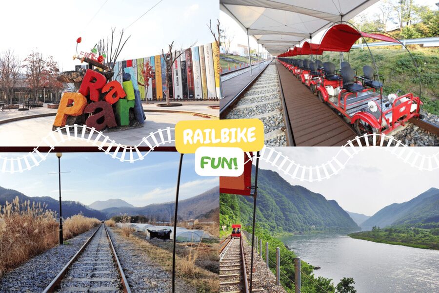 From Seoul: Full Day Trip to Alpaca Farm with Rail Bike - Luge at Vivaldi Park: adrenaline with real-world rules