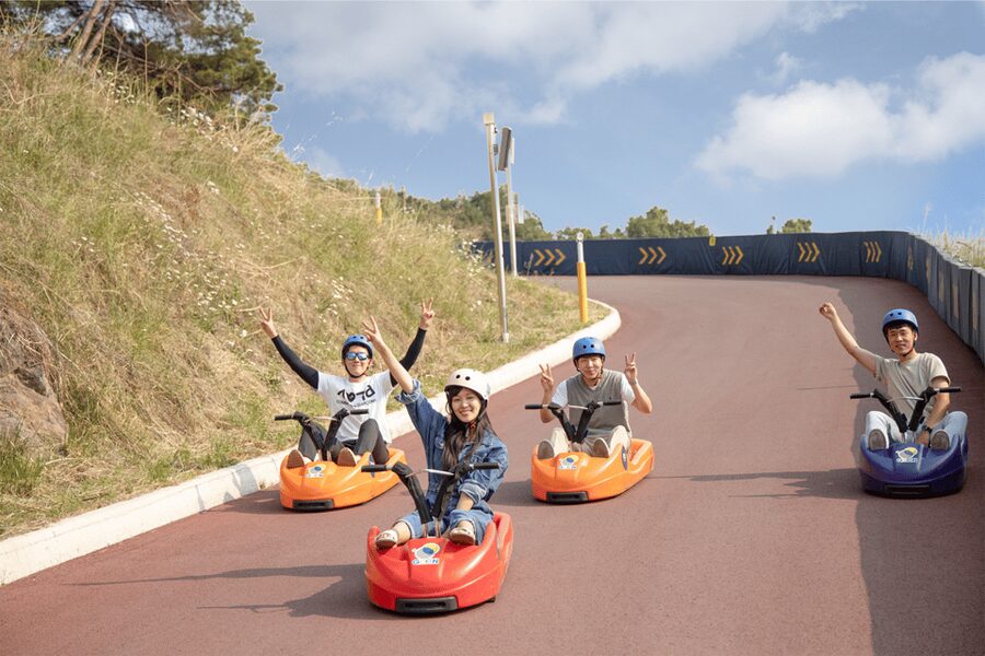 From Seoul: Full Day Trip to Alpaca Farm with Rail Bike - Price and value: what $59 actually buys you