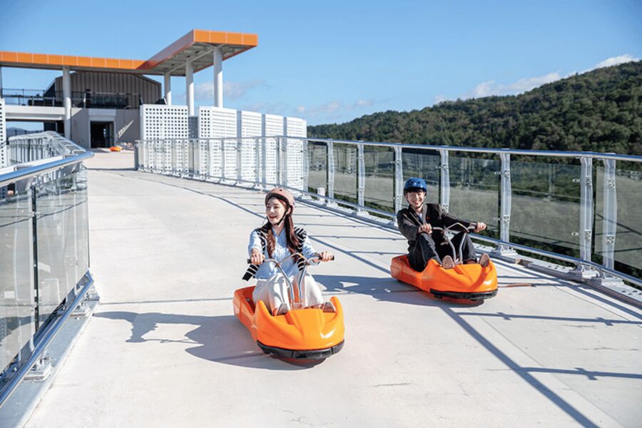 From Seoul: Full Day Trip to Alpaca Farm with Rail Bike - Tour guide impact: when Rose and David keep the pace right