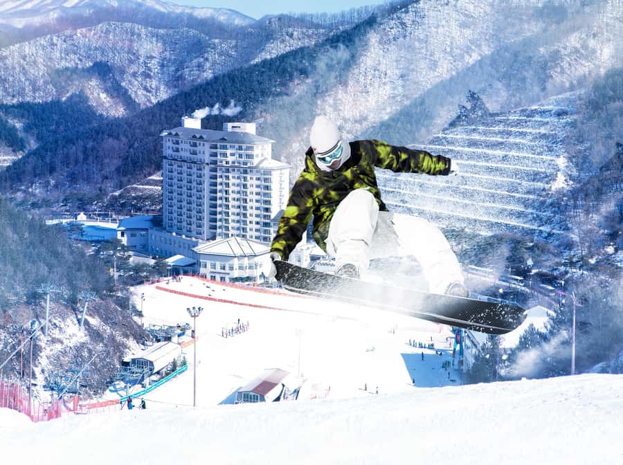 From Seoul: Korea Ski Tour - Jisan Forest Resort - Who Should Book This Tour, and Who Should Skip It