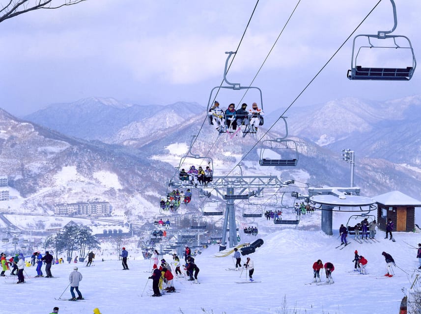 From Seoul: Korea Ski Tour - Jisan Forest Resort - Lunch, Snacks, and the Rest of the Day Plan (Because Meals Are Not Included)