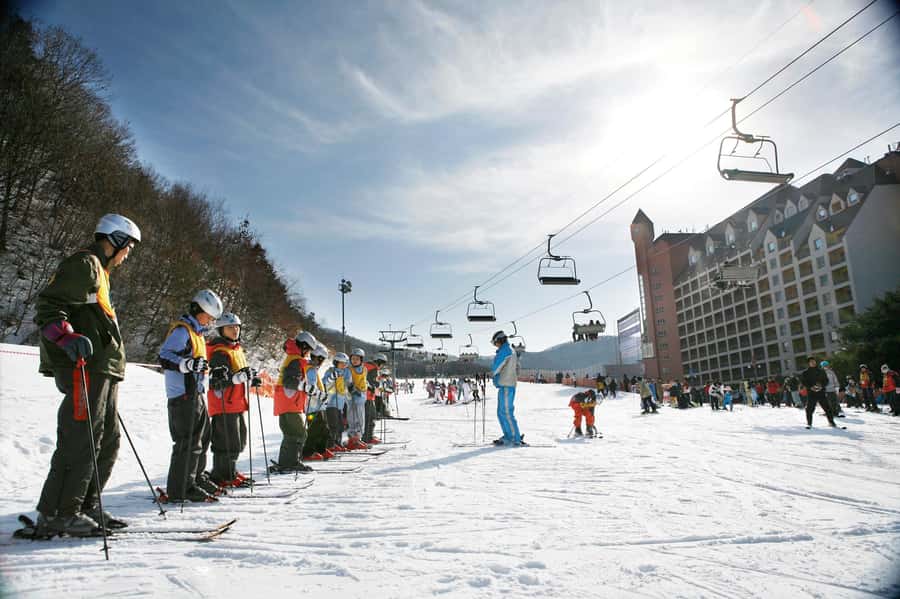 From Seoul: Korea Ski Tour - Jisan Forest Resort - Your 120-Minute Beginner Ski Lesson: What You’re Learning and Why It Works