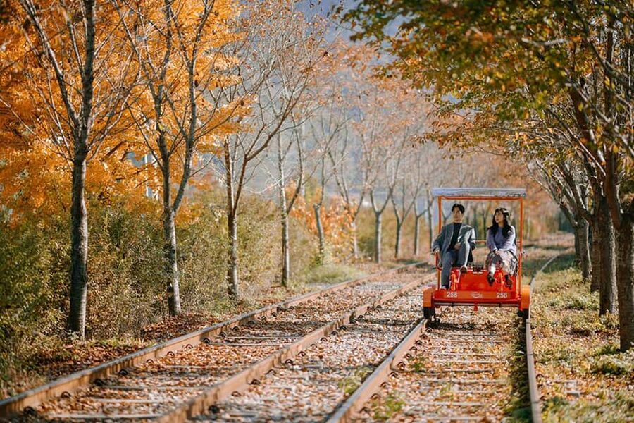 From Seoul: Nami Island, Korean Garden & Rail Bike Day Trip - Key Points to Know Before You Go