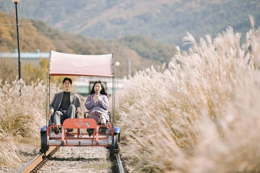 From Seoul: Nami Island, Korean Garden & Rail Bike Day Trip - Why This Seoul Day Trip Works: Morning Calm, Nami Island, and a Real Upgrade