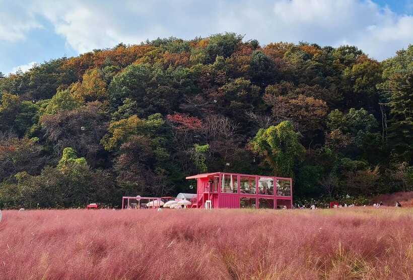 From Seoul: Pocheon, Sanjung Lake and Bidulginang Fall Trip - Should you book this Seoul to Pocheon, Sanjung Lake, and Bidulginang trip?