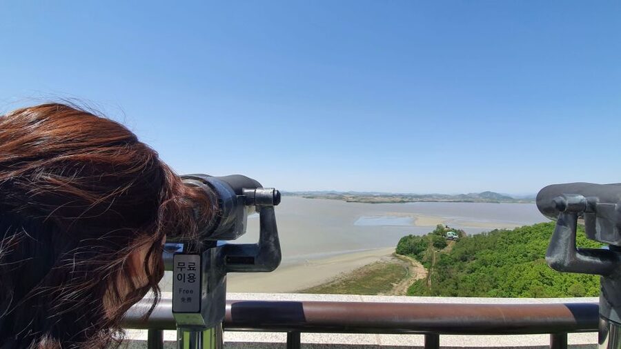 From Seoul: Private DMZ and Odusan Observatory Full-Day Tour - Key takeaways before you go