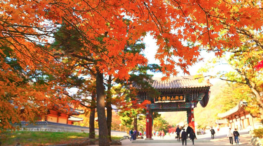 From Seoul: Seoraksan Mountain with Cable Car- Shuttle Bus - Key takeaways before you go