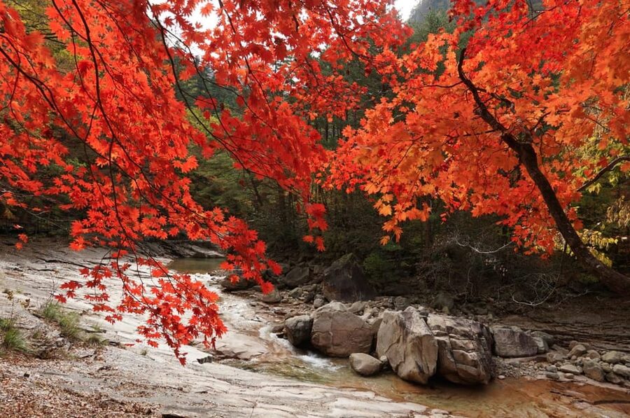 From Seoul: Seoraksan Mountain with Cable Car- Shuttle Bus - Who should book this tour, and who should reconsider