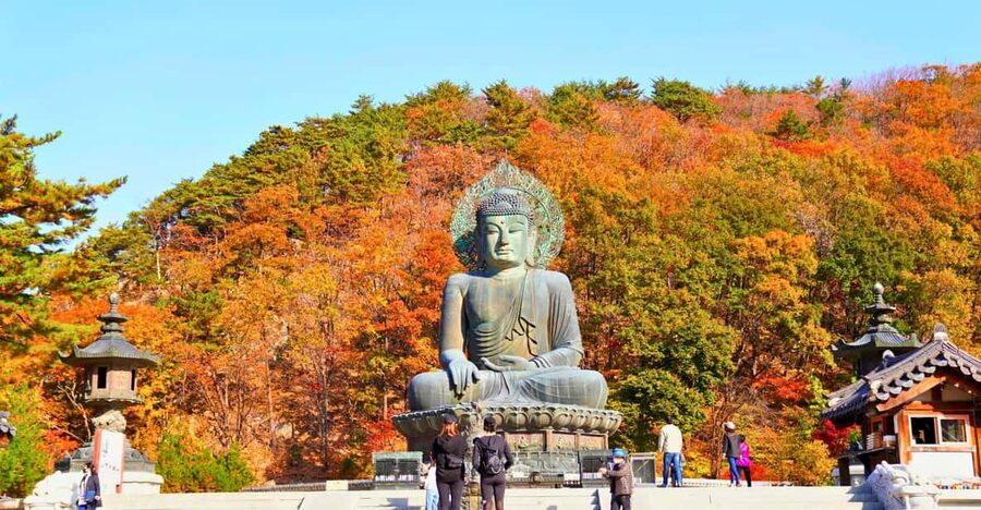 From Seoul: Seoraksan Mountain with Cable Car- Shuttle Bus - Why Seoraksan in autumn feels like a smart choice