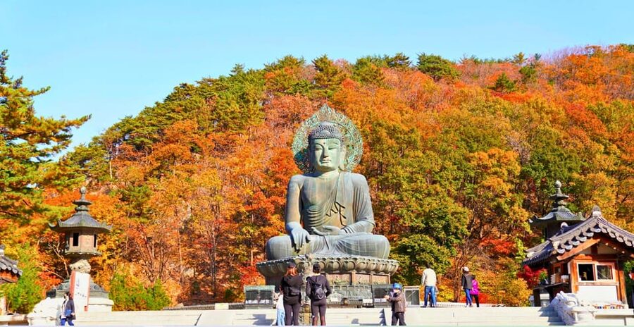 From Seoul: Seoraksan Mountain with Cable Car- Shuttle Bus - The cable car to Gwongeumseong Fortress: views without the grind