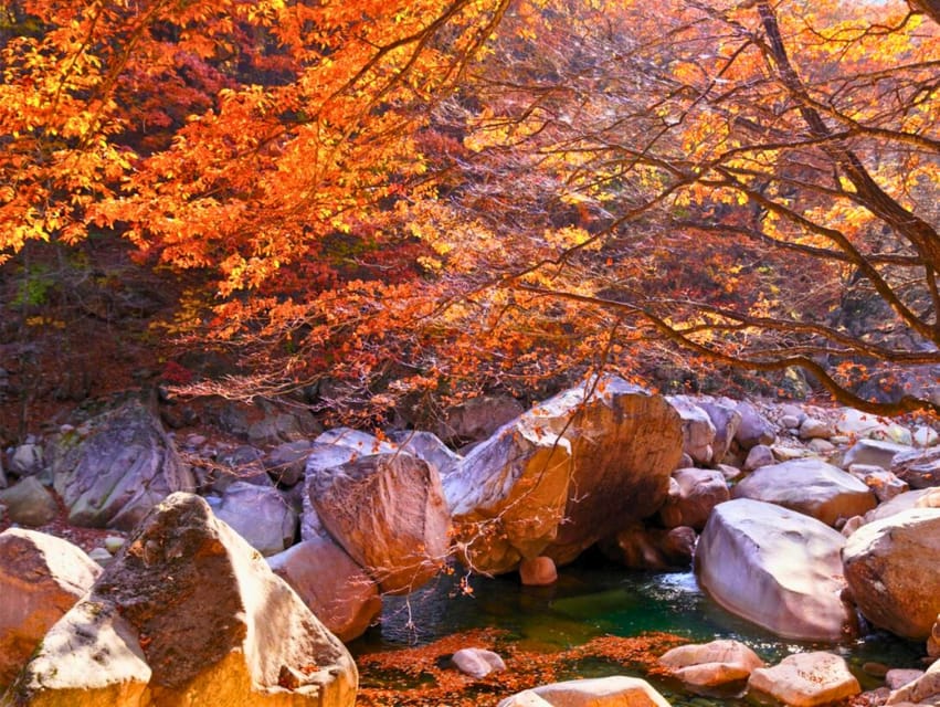 From Seoul: Seoraksan Mountain with Cable Car- Shuttle Bus - Hiking in Seoraksan: how to manage time for Mount Seorak
