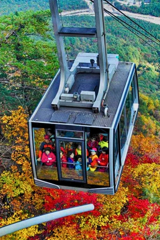 From Seoul: Seoraksan Mountain with Cable Car- Shuttle Bus - Price and value: what you get for about $67