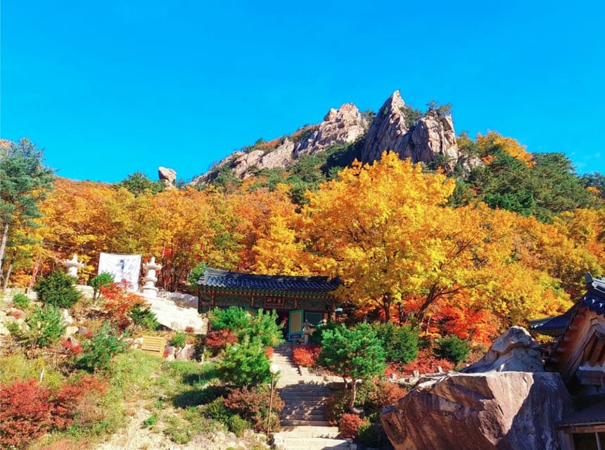 From Seoul: Seoraksan Mountain with Cable Car- Shuttle Bus - Guide quality: why it changes everything at Sinheungsa