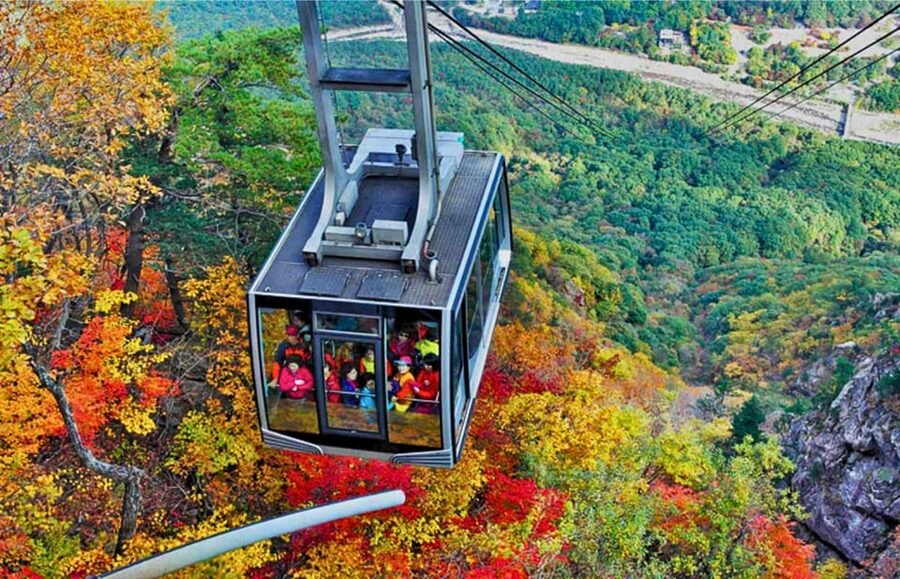 From Seoul: Seoraksan Mountain with Cable Car- Shuttle Bus - From Seoul: transport comfort and the real timing risk