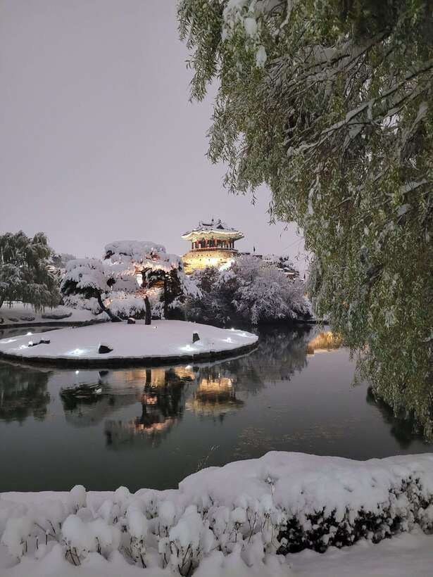 From Seoul: Suwon Hwaseong Fortress Night Tour - Quick take