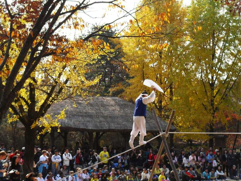 From Seoul: Suwon Hwaseong Fortress Tour - Who should book, and who might want to skip