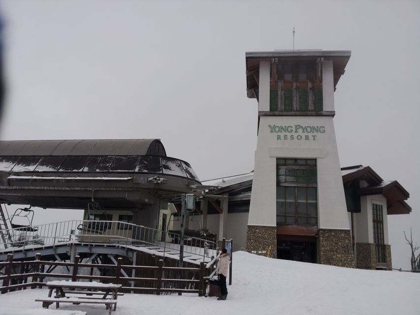 From Seoul: Yongpyong Ski Day Tour with Transportation - Yongpyong From Seoul: Why This Ski Day Works