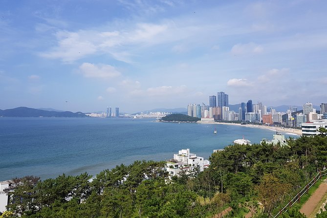 Full Day Busan Tour Including Haedong Yonggungsa Temple - Key highlights you should care about